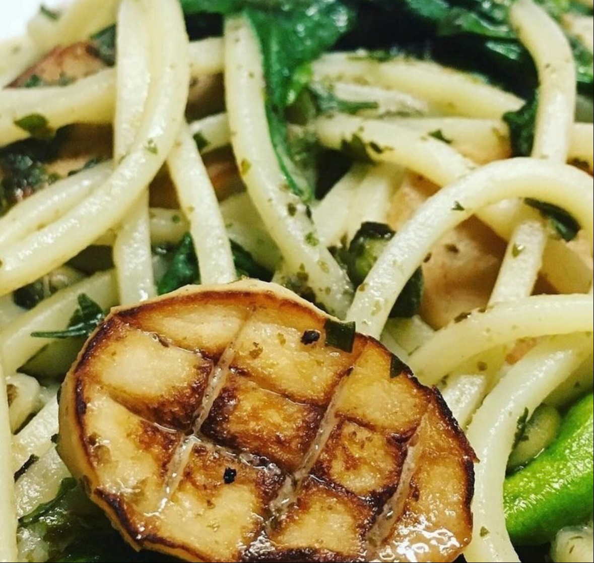 IMG_9878.jpeg IMG_9878.jpeg