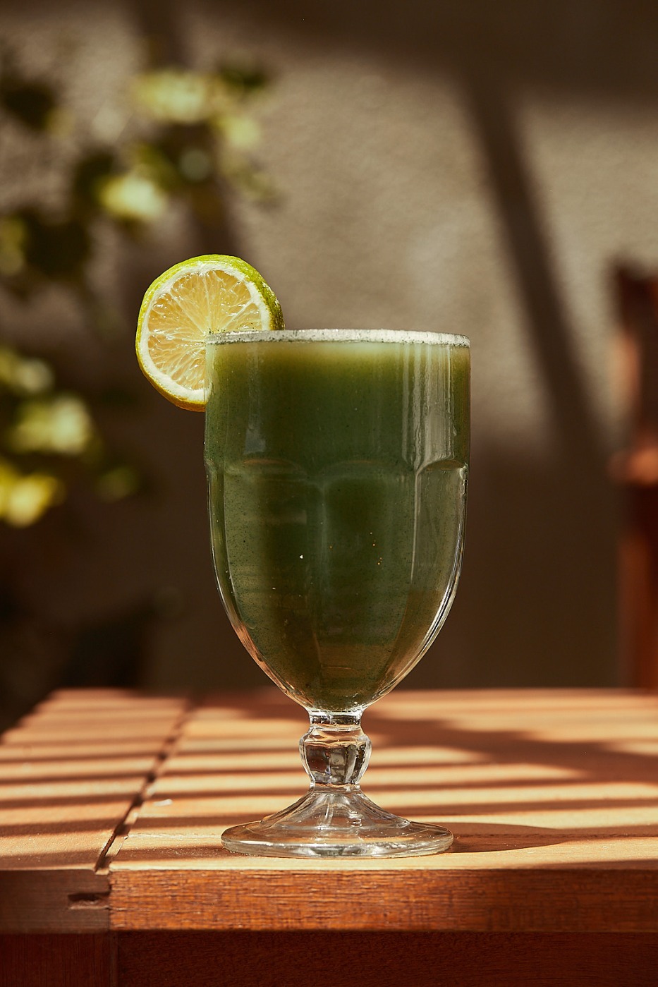 raices .mostra  31.jpeg