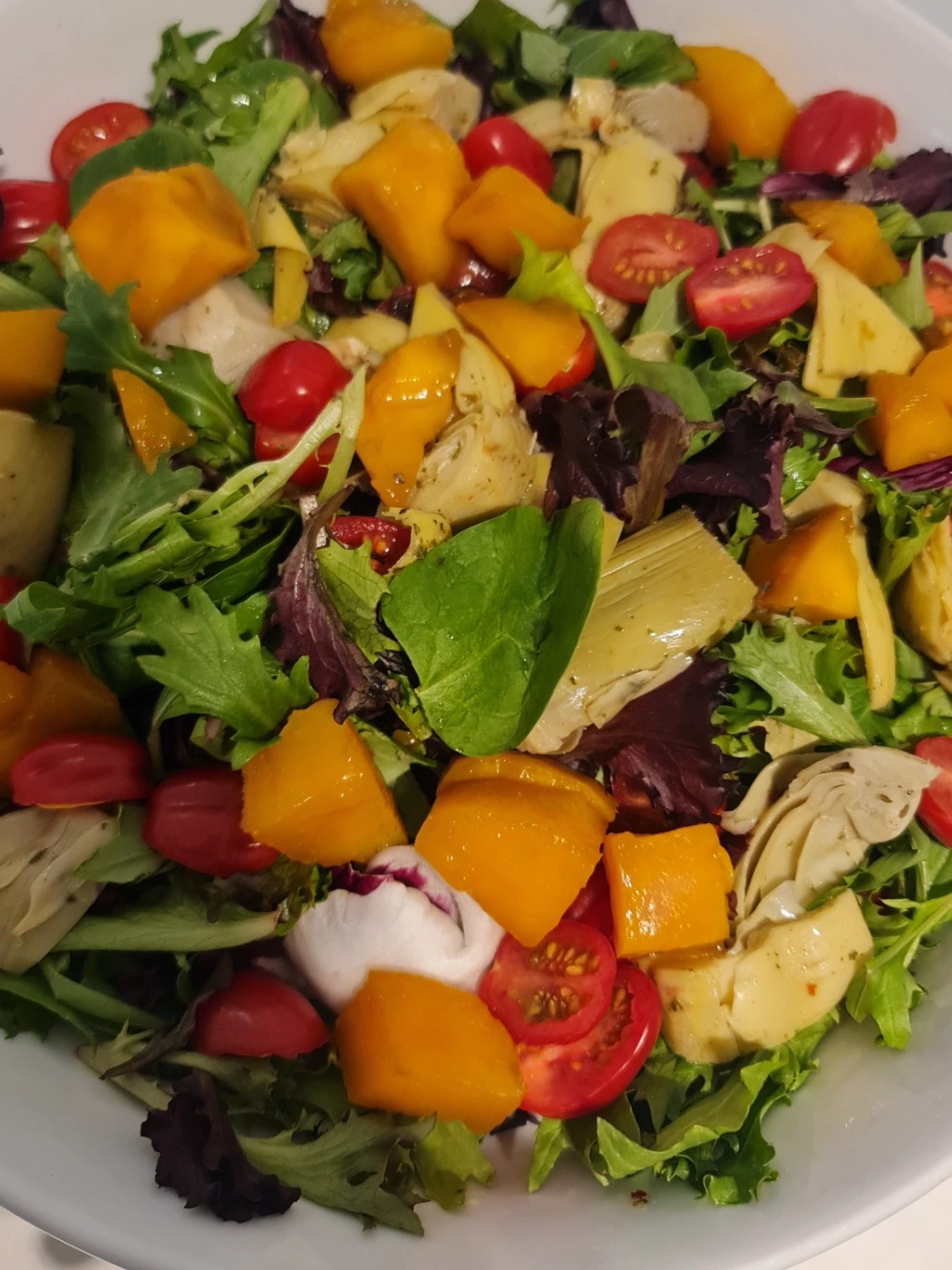 20260212_132527.jpg 20260212_132527.jpg