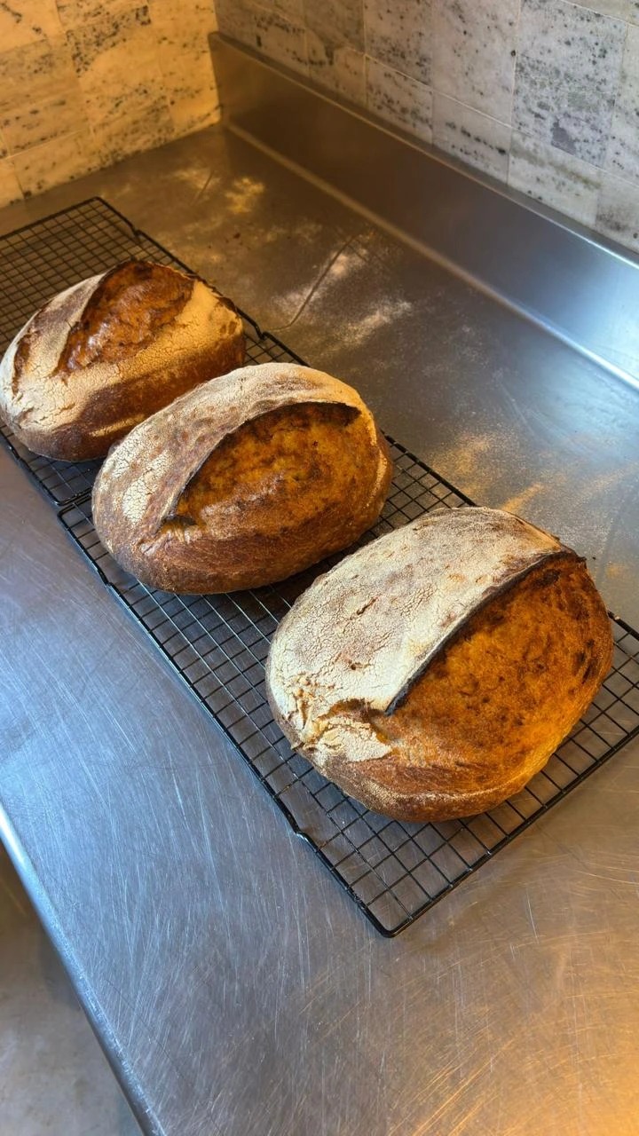 WhatsApp Image 2026-02-28 at 6.55.13 PM (13).jpeg