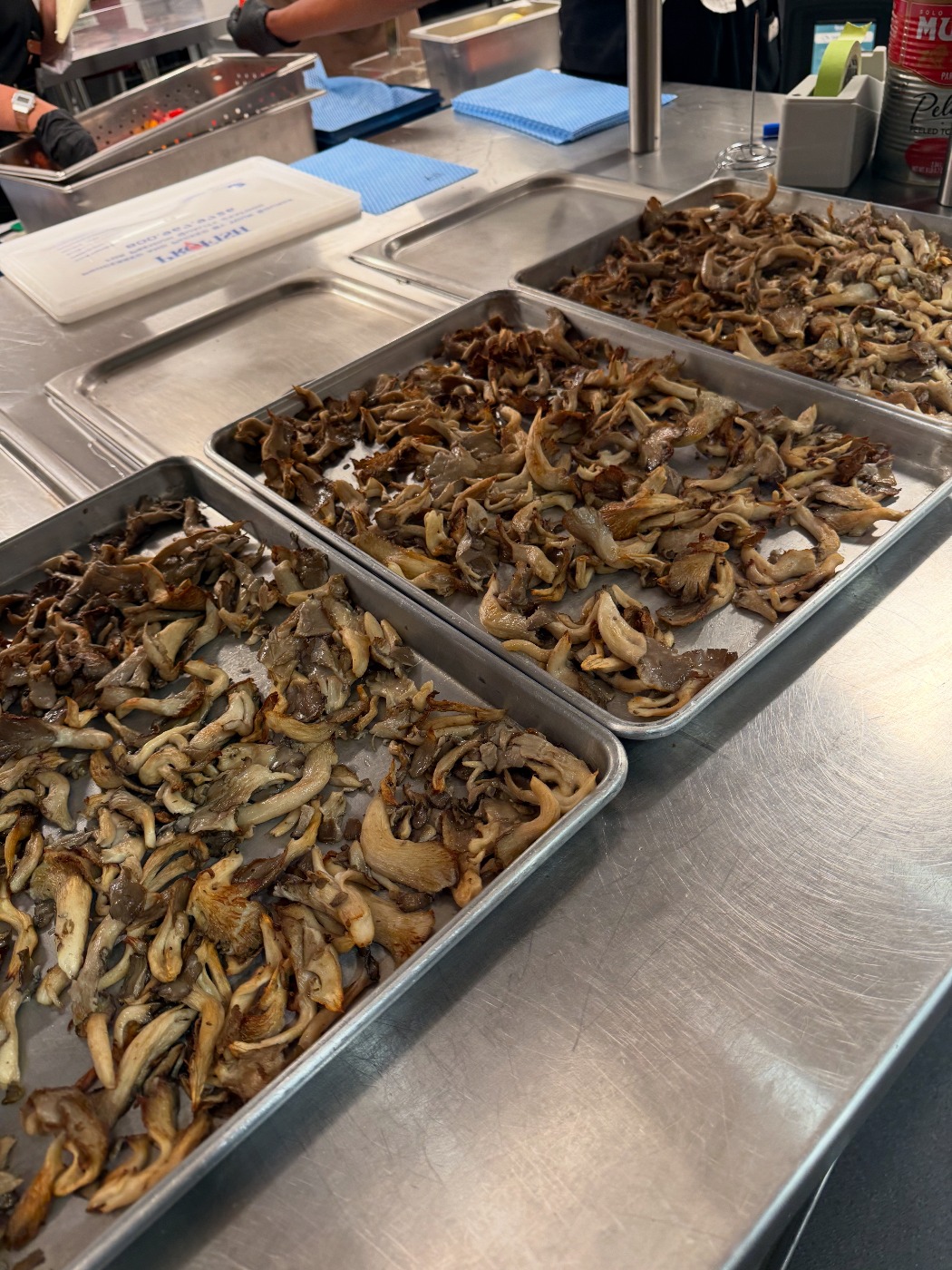 F892930B-C8FC-449D-A3A8-2A209085390C.jpeg F892930B-C8FC-449D-A3A8-2A209085390C.jpeg