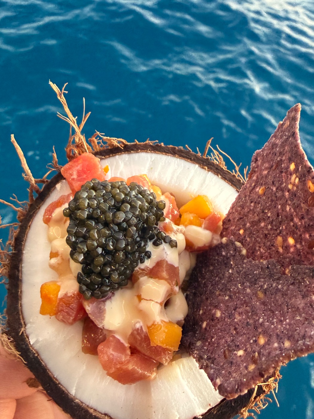 IMG_2795.jpeg IMG_2795.jpeg