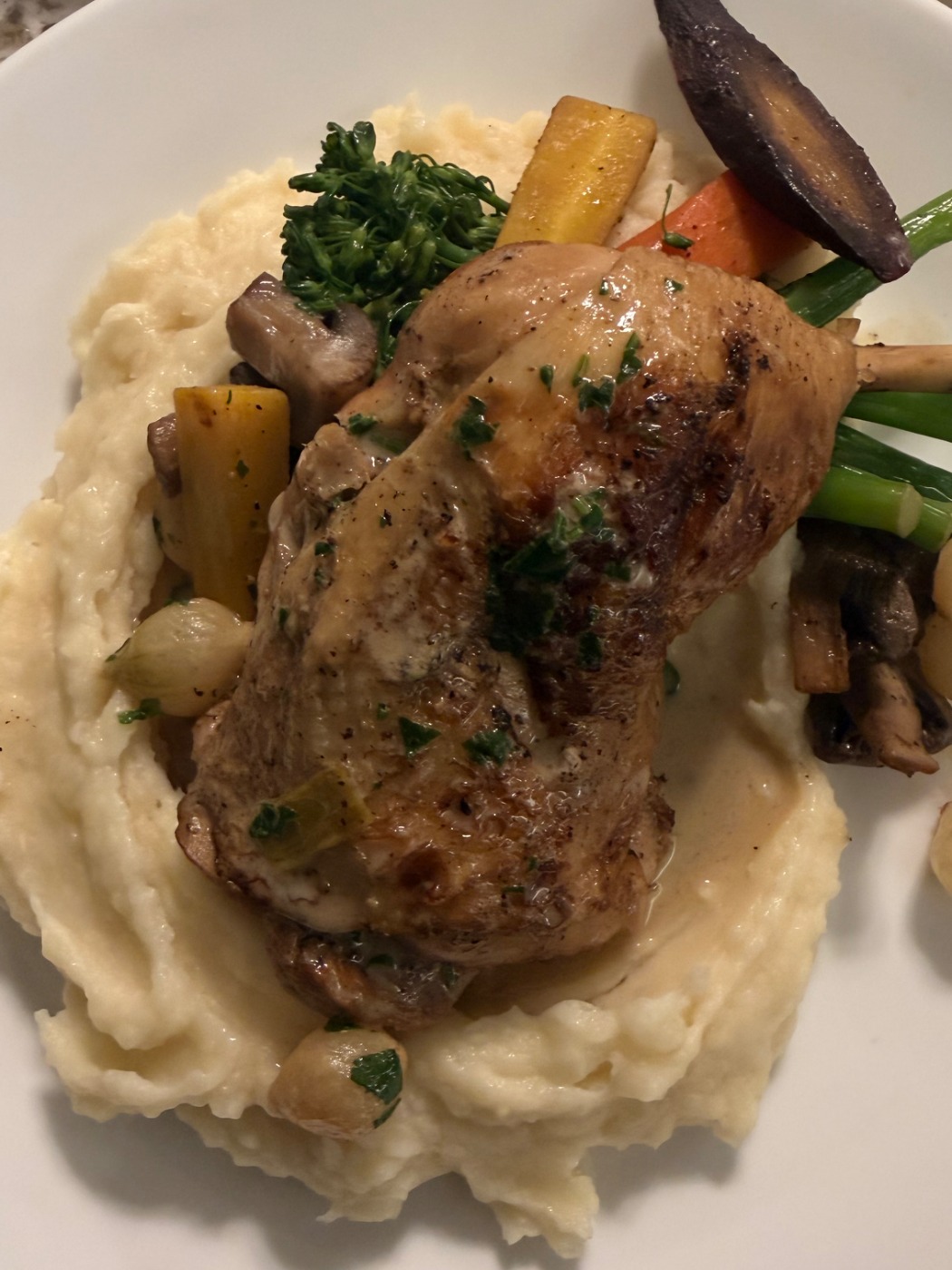 IMG_4629.jpeg IMG_4629.jpeg