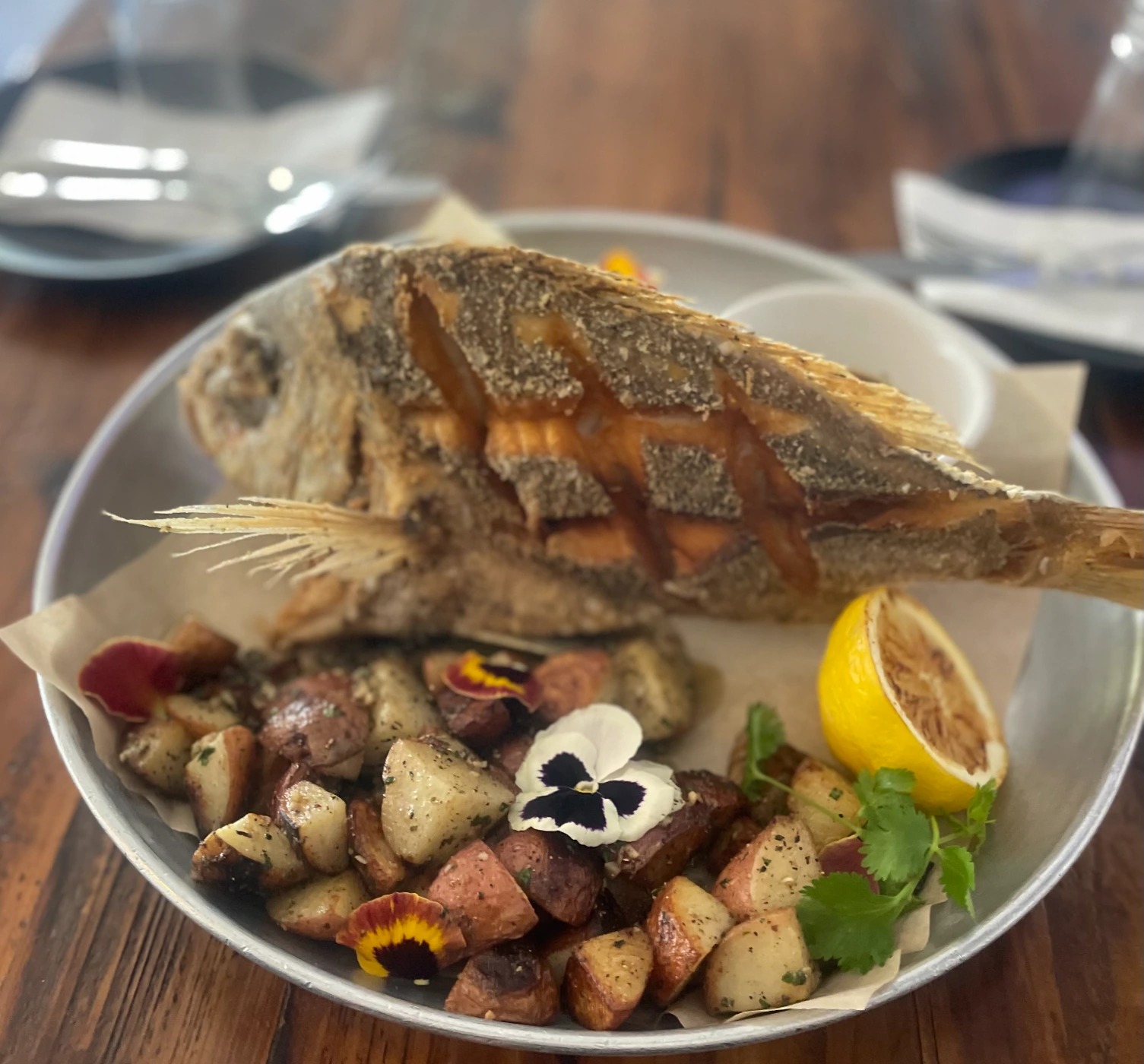 IMG_2185.jpeg IMG_2185.jpeg