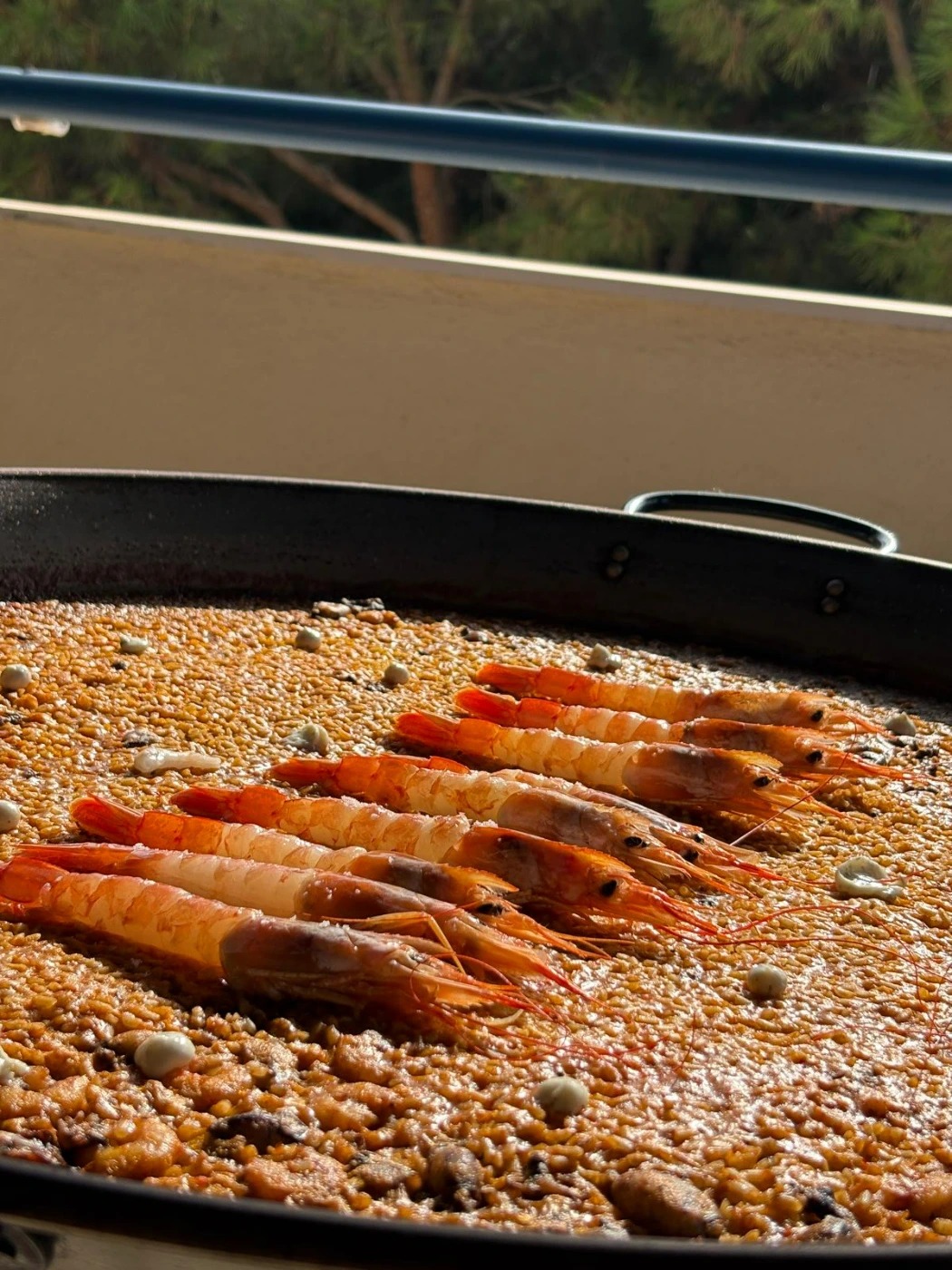 WhatsApp Image 2026-03-02 at 16.08.32.jpeg WhatsApp Image 2026-03-02 at 16.08.32.jpeg