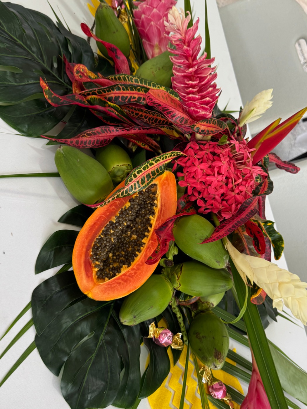 IMG_4246.jpeg IMG_4246.jpeg