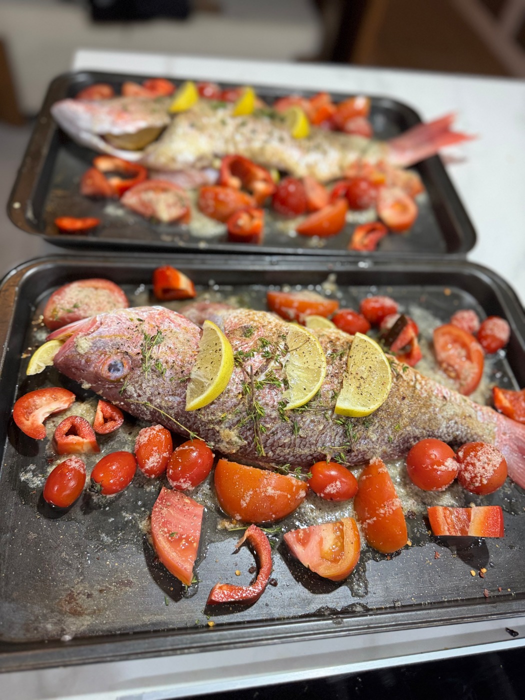 IMG_4843.jpeg IMG_4843.jpeg