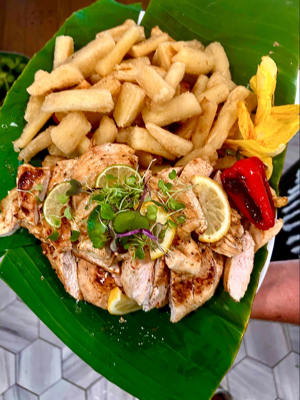 IMG_0261.jpeg IMG_0261.jpeg