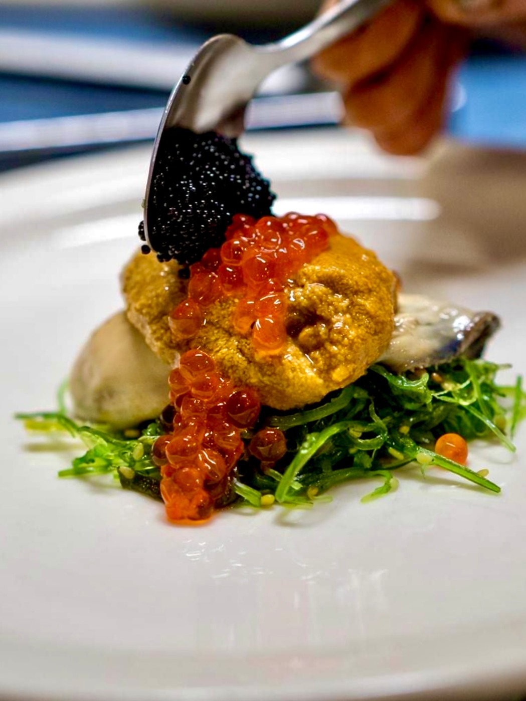 IMG_0421.jpeg IMG_0421.jpeg