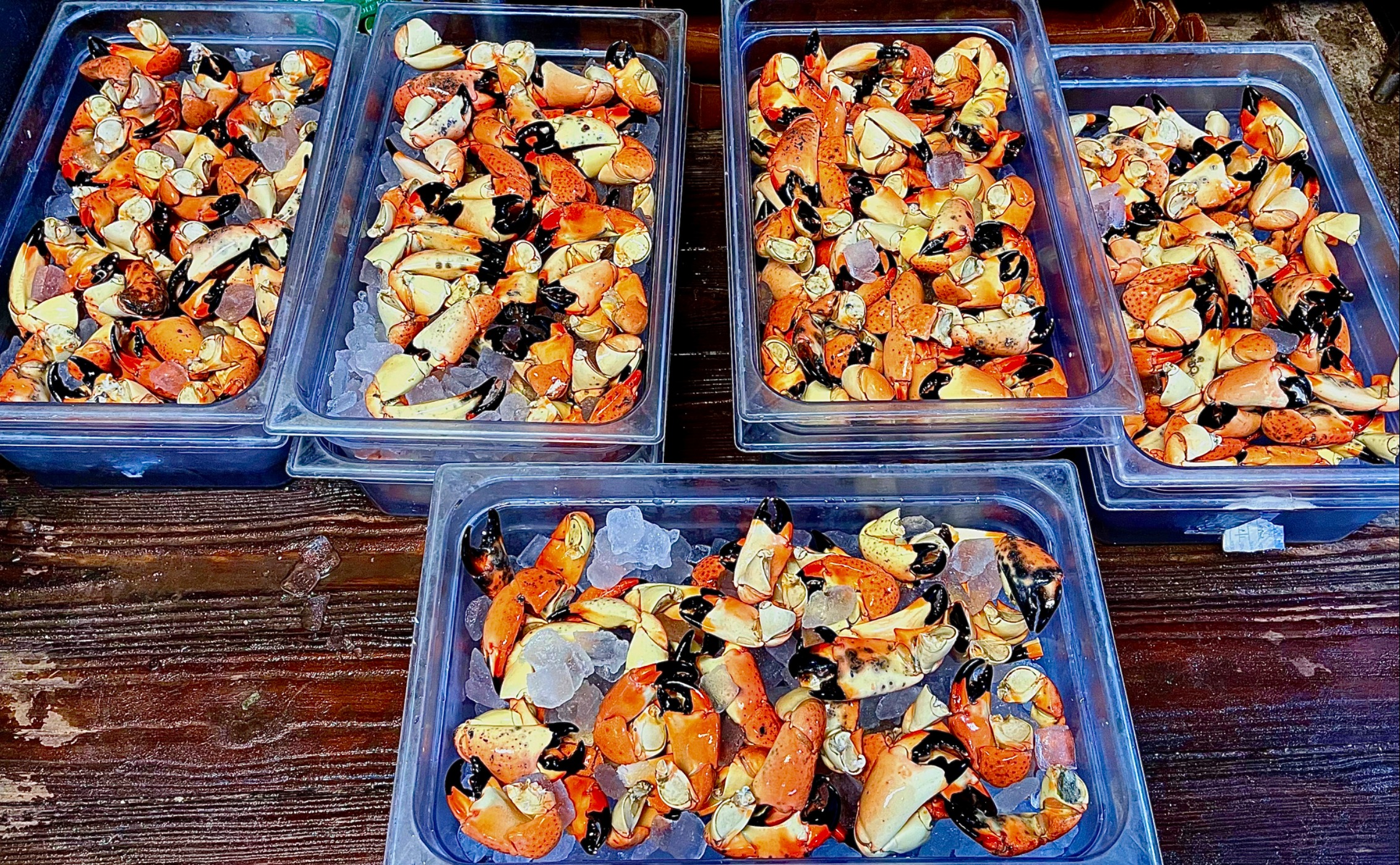 IMG_2484.jpeg IMG_2484.jpeg