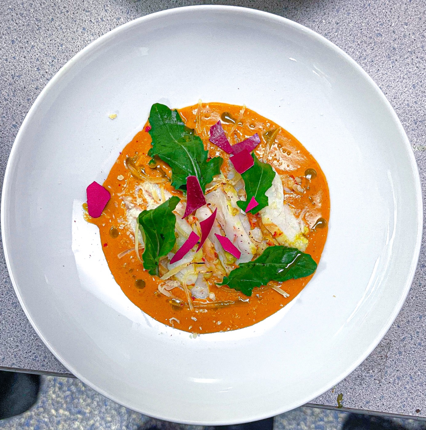 IMG_8138.jpeg IMG_8138.jpeg