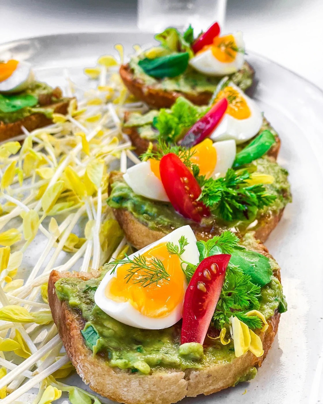 622580105_18091081465990115_956202288867890_n.jpg 622580105_18091081465990115_956202288867890_n.jpg