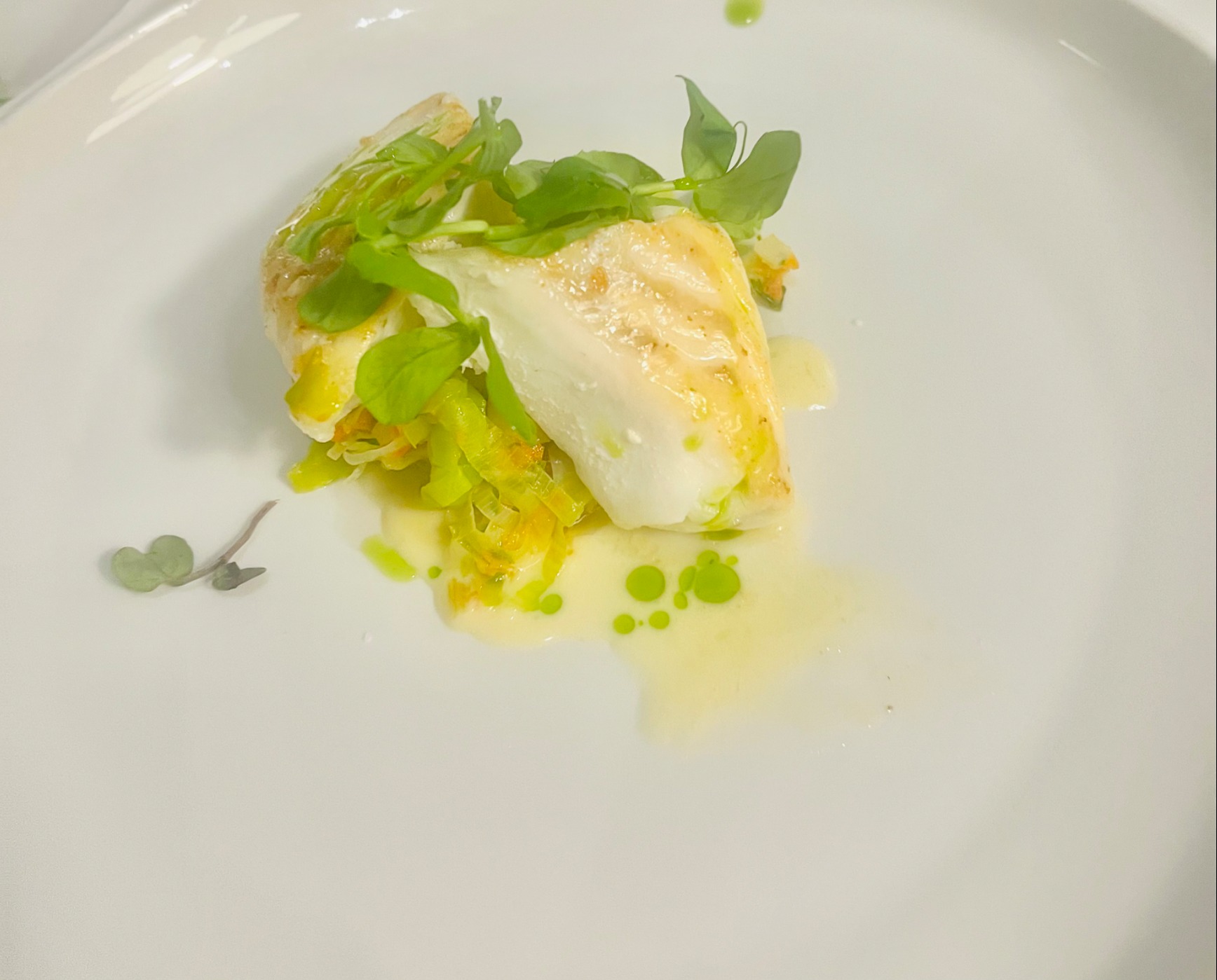 IMG_3174.jpeg IMG_3174.jpeg