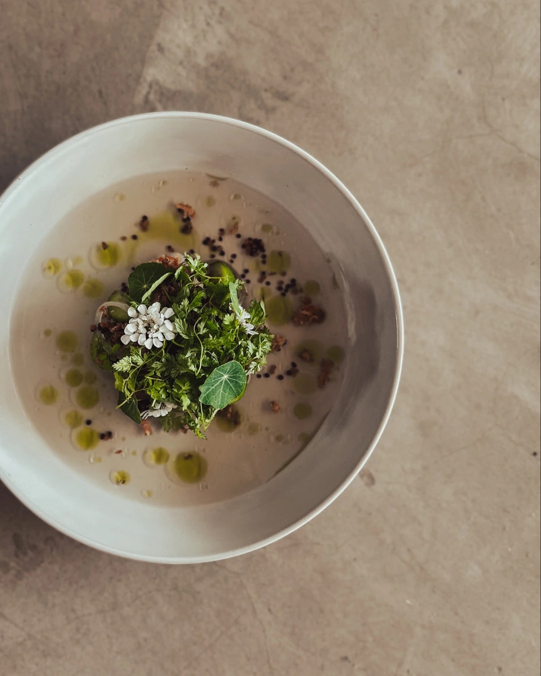 Sage Instagram Portait (4) (2).png