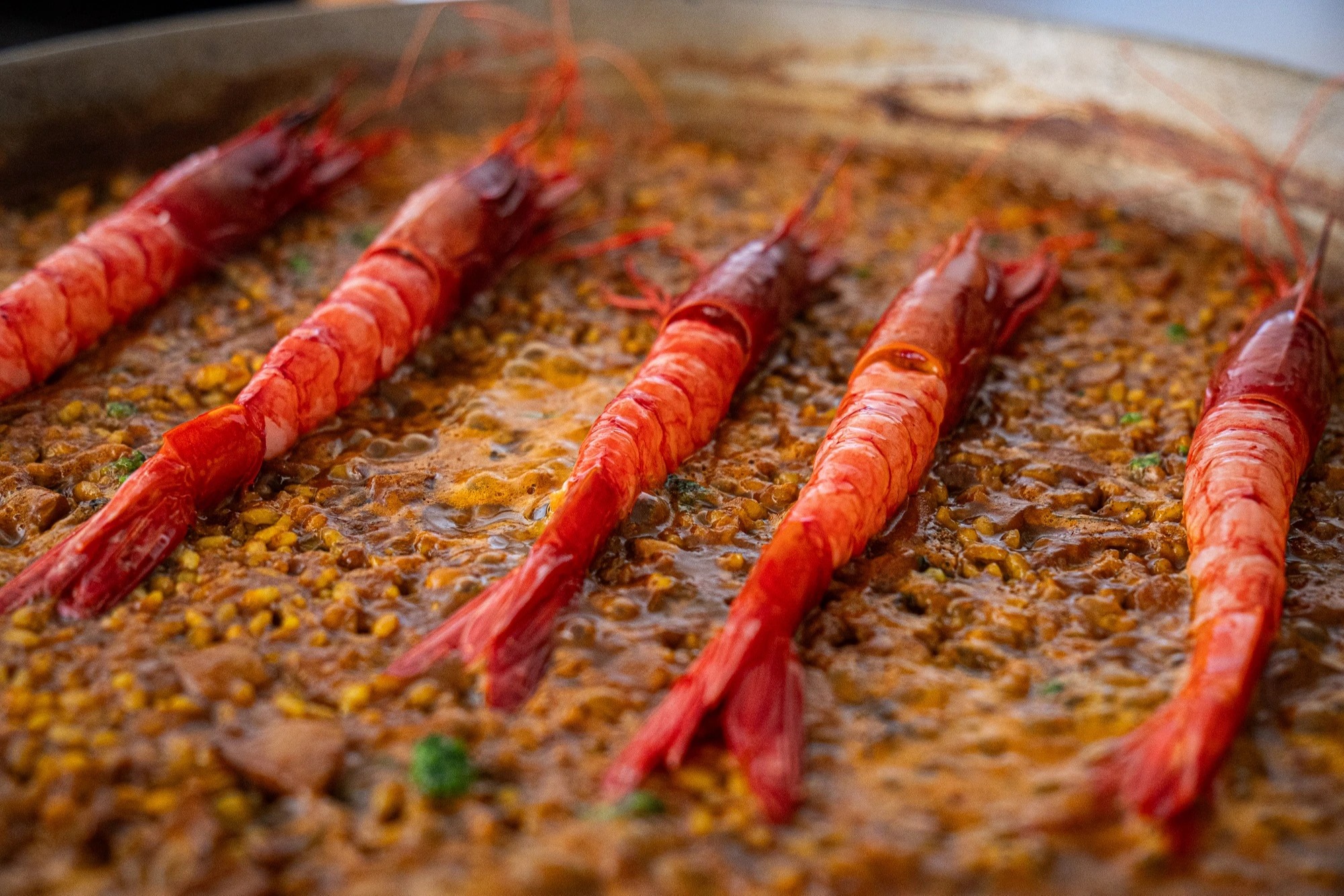 arroz carabinero web.jpg
