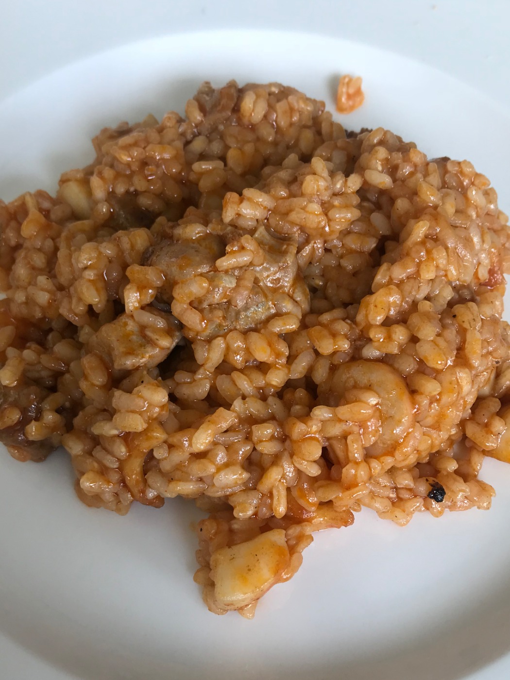 IMG_9331.jpeg IMG_9331.jpeg