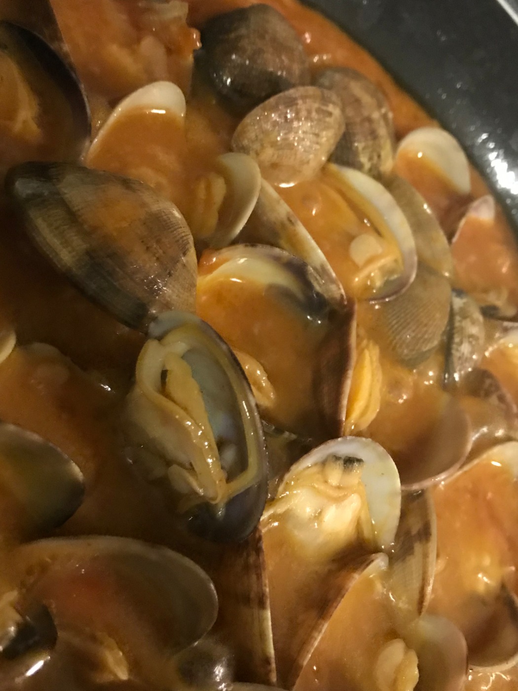 IMG_6416.jpeg IMG_6416.jpeg