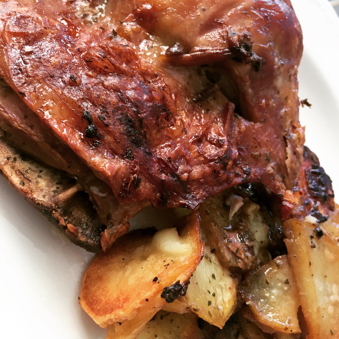 IMG_8434.jpeg IMG_8434.jpeg