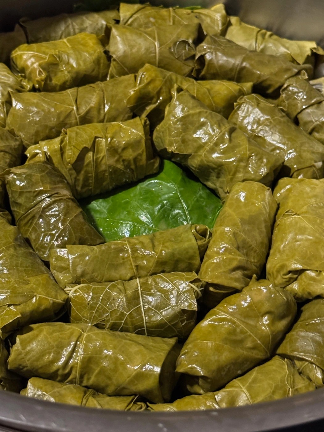 All Photos - 1 of 1 (1).jpeg