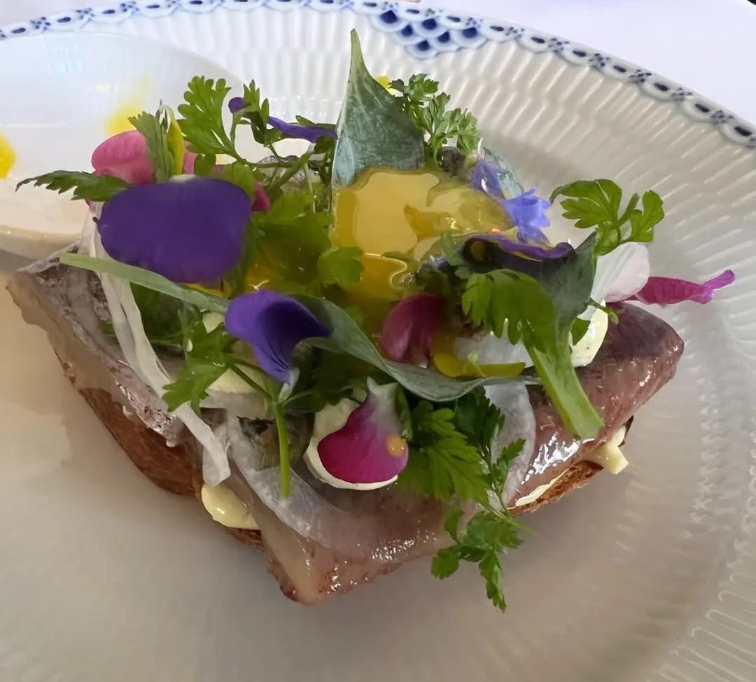 458276496_1044844090974512_5936732054320964744_n.jpeg 458276496_1044844090974512_5936732054320964744_n.jpeg