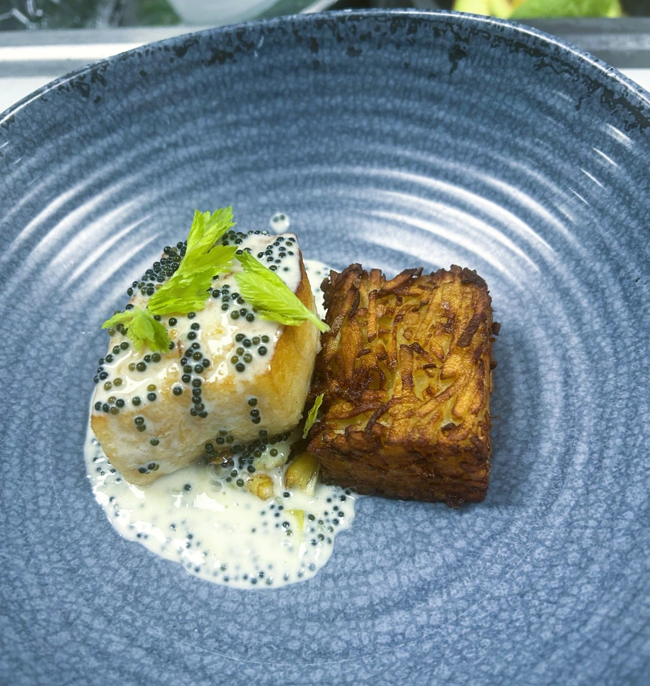 20250205_233354171_iOS.jpg 20250205_233354171_iOS.jpg