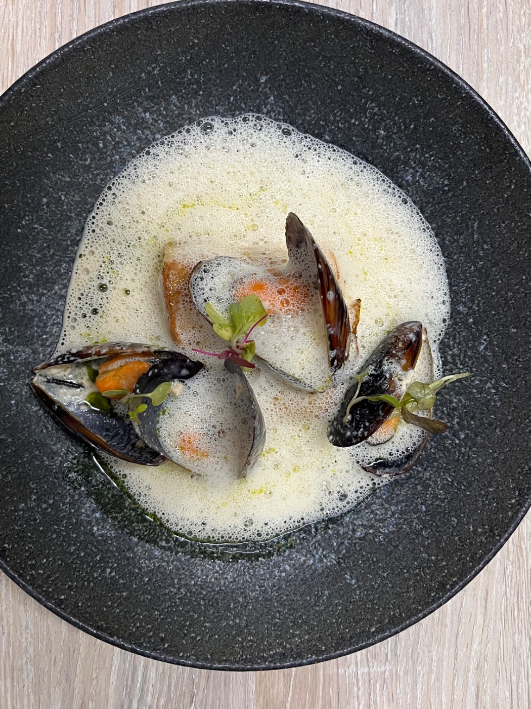 IMG_5497.jpeg IMG_5497.jpeg