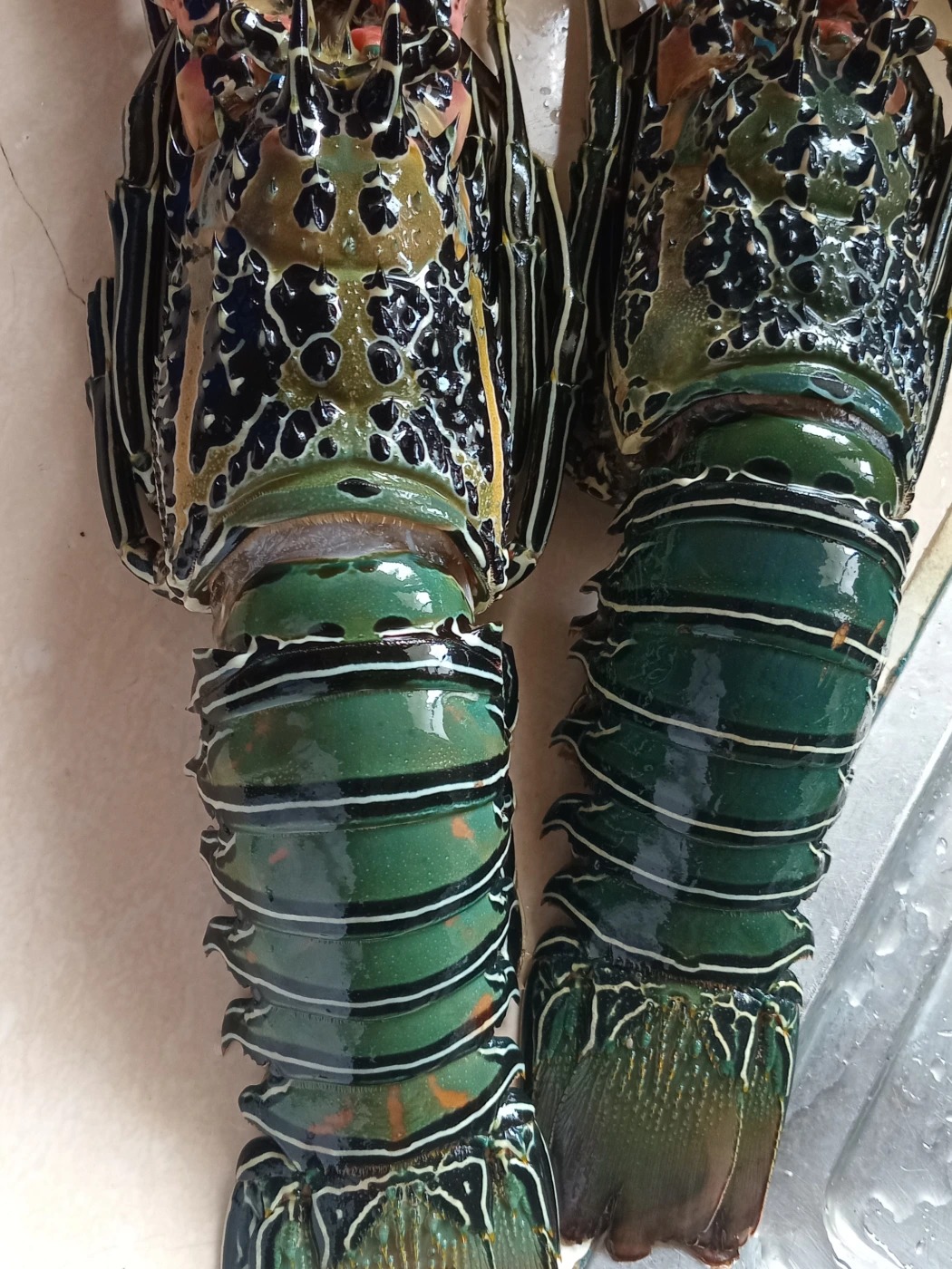 b6c2fcb3-2252-4e69-b389-48193ee1156a-1_all_749.jpg b6c2fcb3-2252-4e69-b389-48193ee1156a-1_all_749.jpg