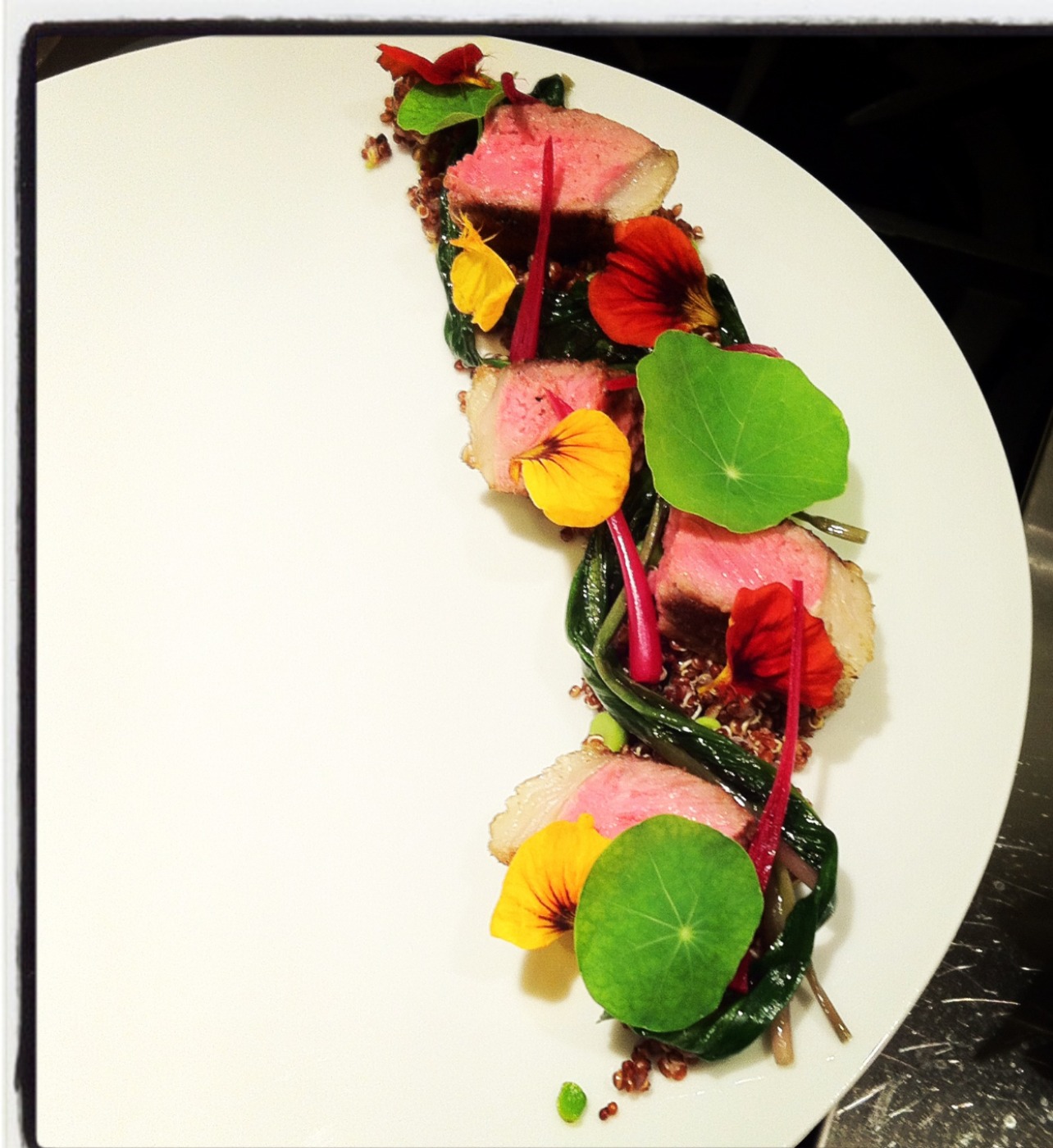 IMG_9885.jpeg IMG_9885.jpeg