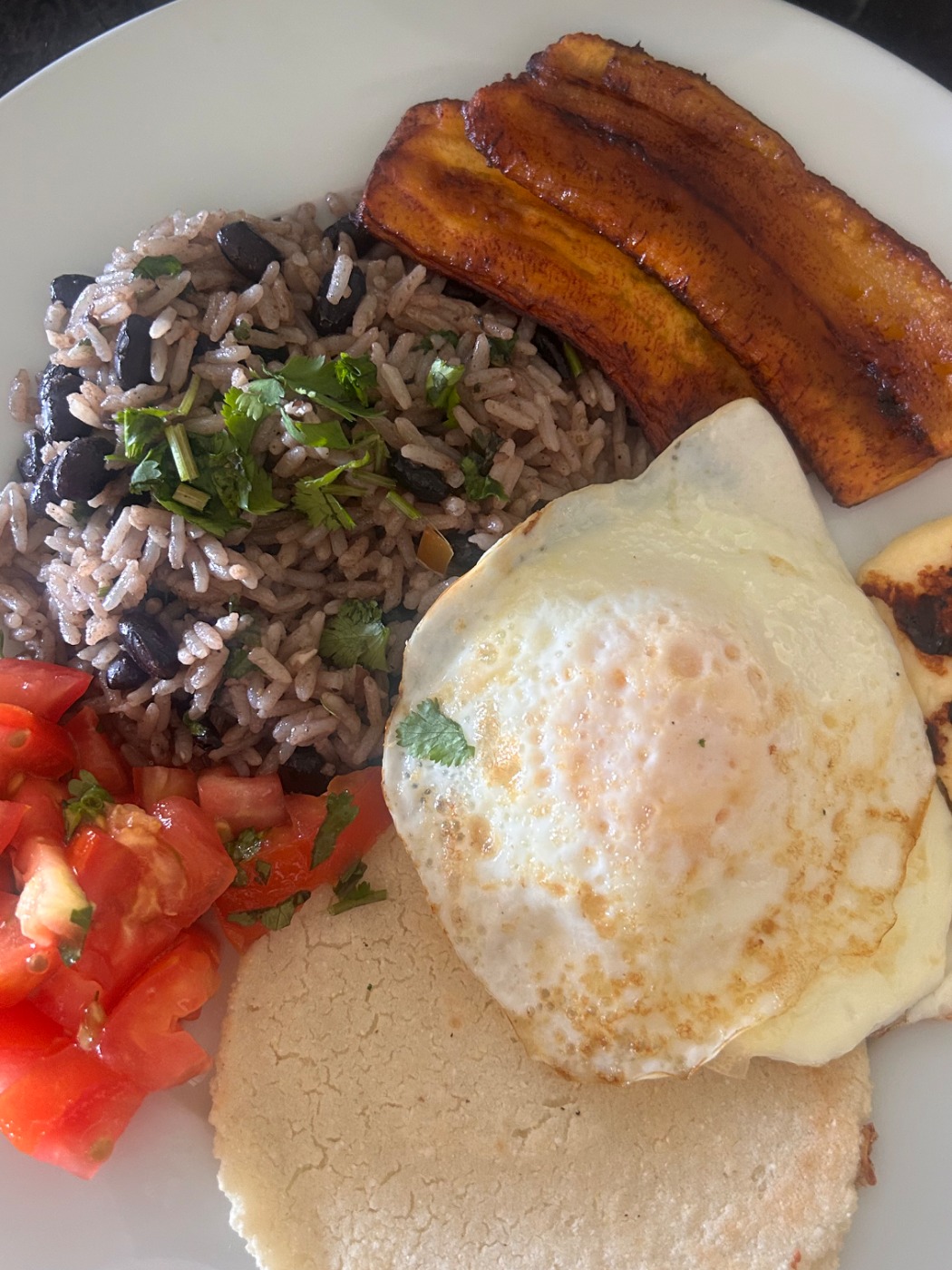 IMG_5473.jpeg IMG_5473.jpeg