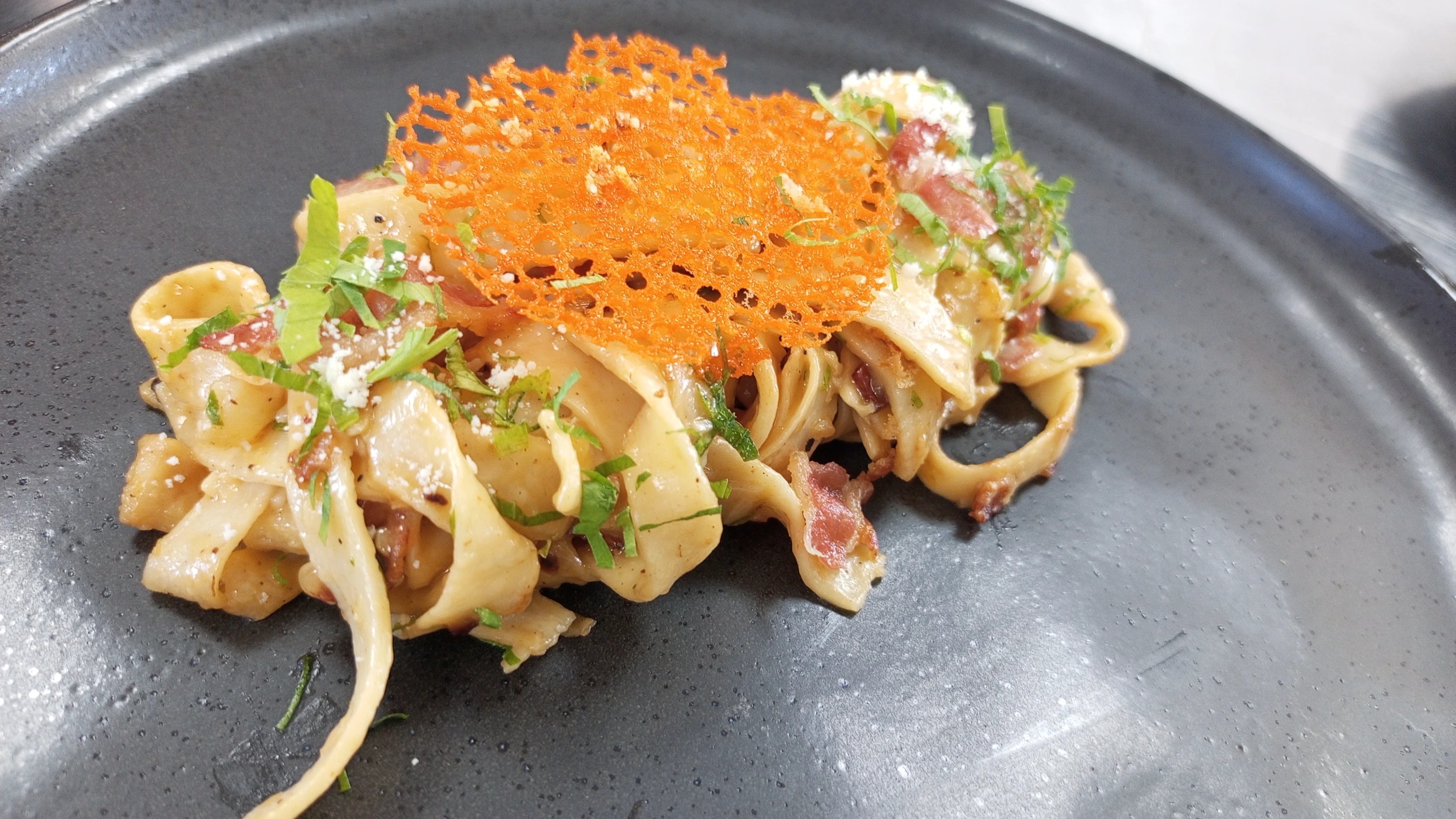 1000049842.jpg 1000049842.jpg