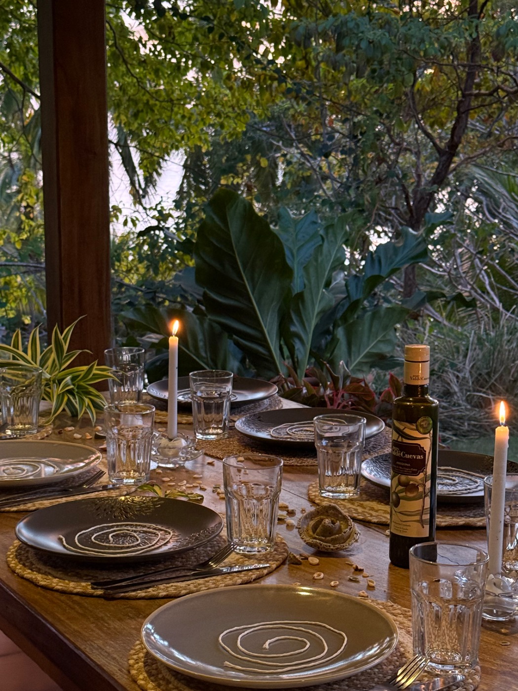 IMG_2850.jpeg IMG_2850.jpeg