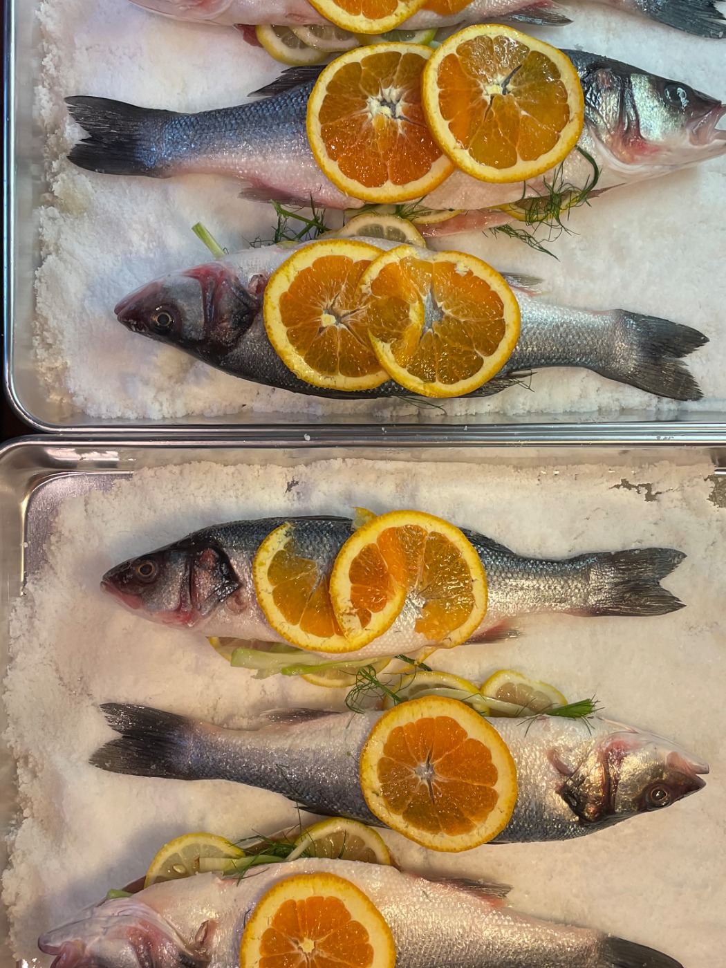 1210252.jpg 1210252.jpg