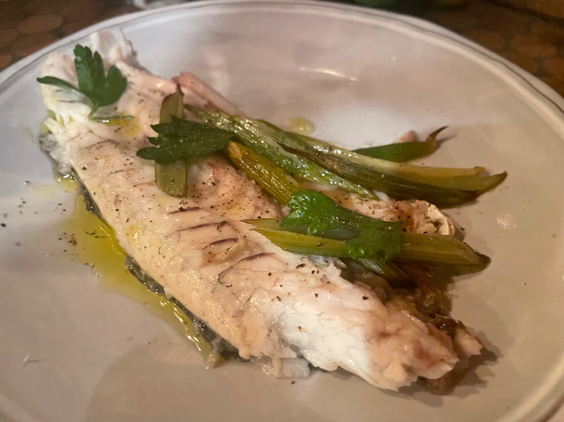 IMG_6532.jpeg IMG_6532.jpeg