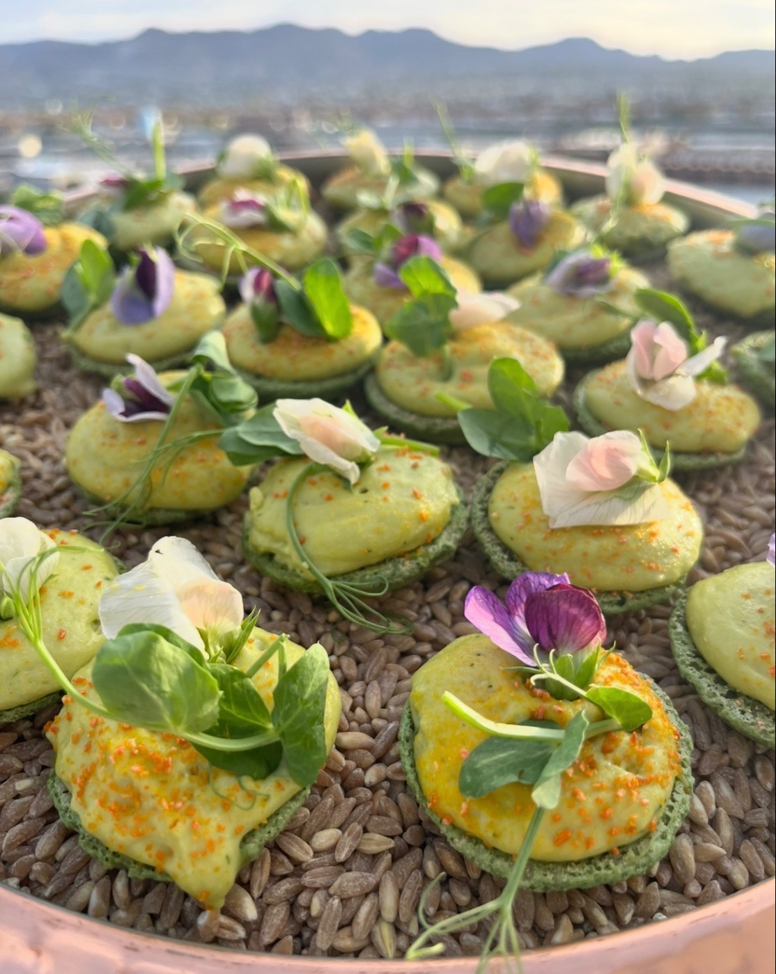 IMG_1639.jpeg IMG_1639.jpeg