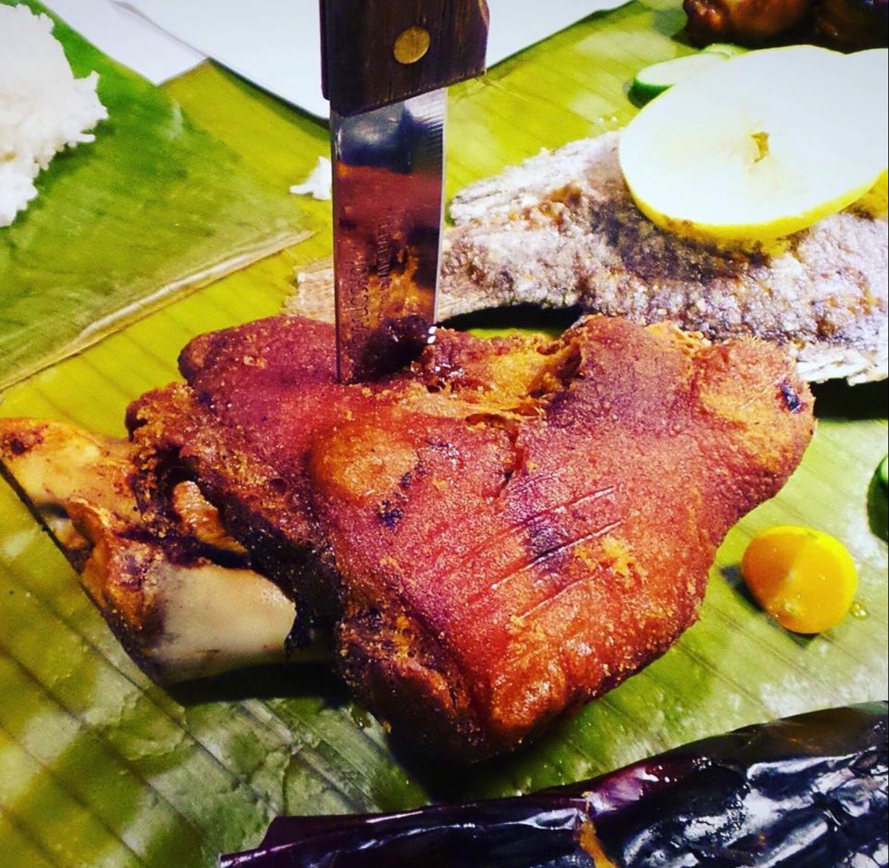 IMG_8696.jpeg IMG_8696.jpeg