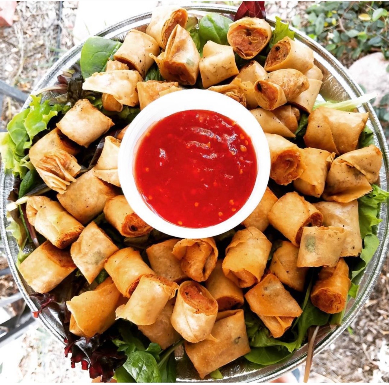 IMG_8683.jpeg IMG_8683.jpeg