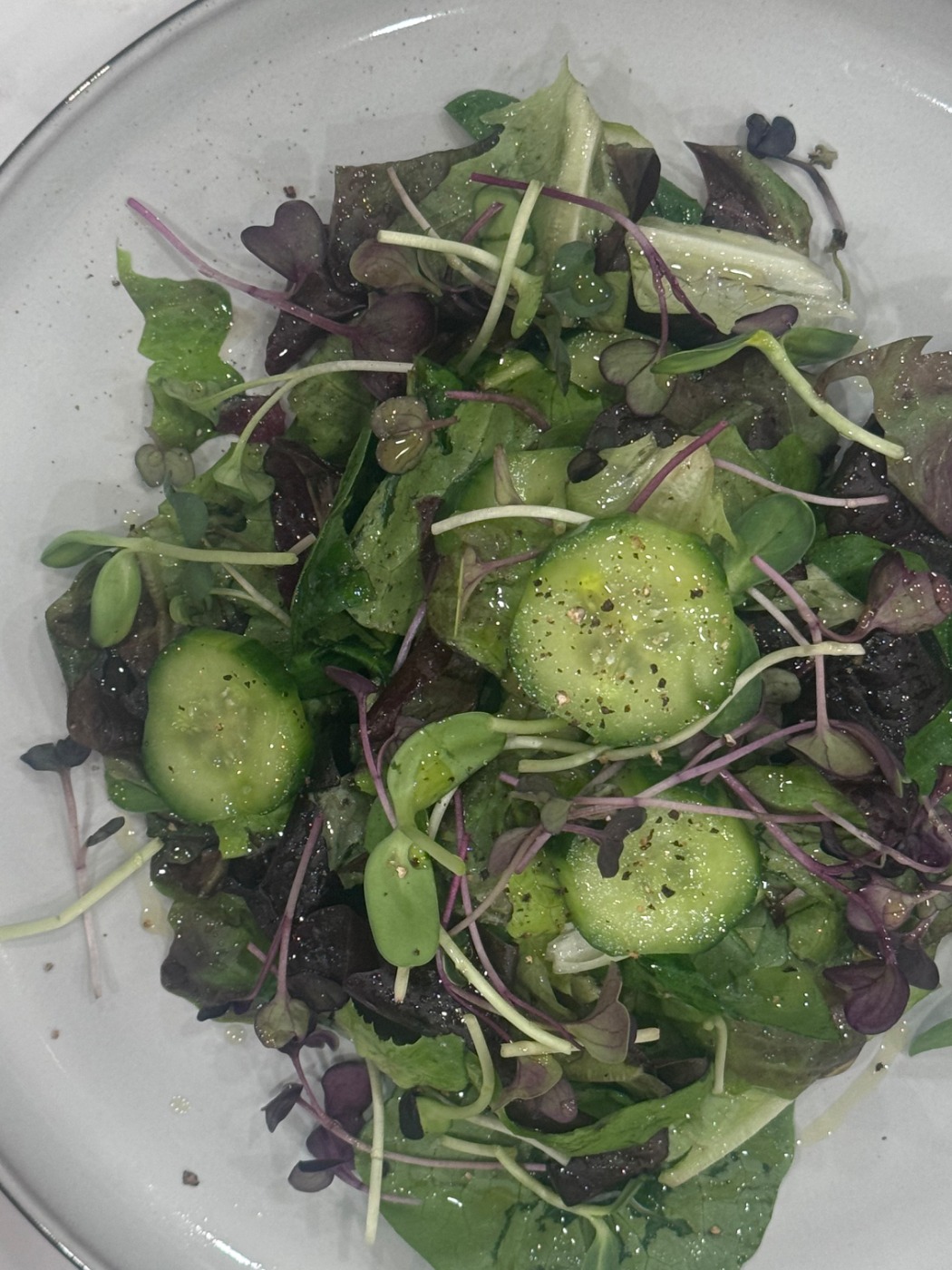 IMG_4688.jpeg IMG_4688.jpeg