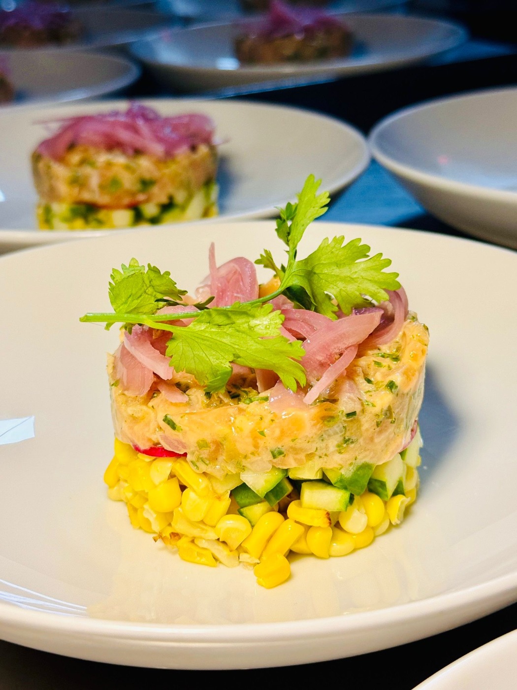 58986520-af58-400e-825b-4d272f2169e1.jpeg 58986520-af58-400e-825b-4d272f2169e1.jpeg