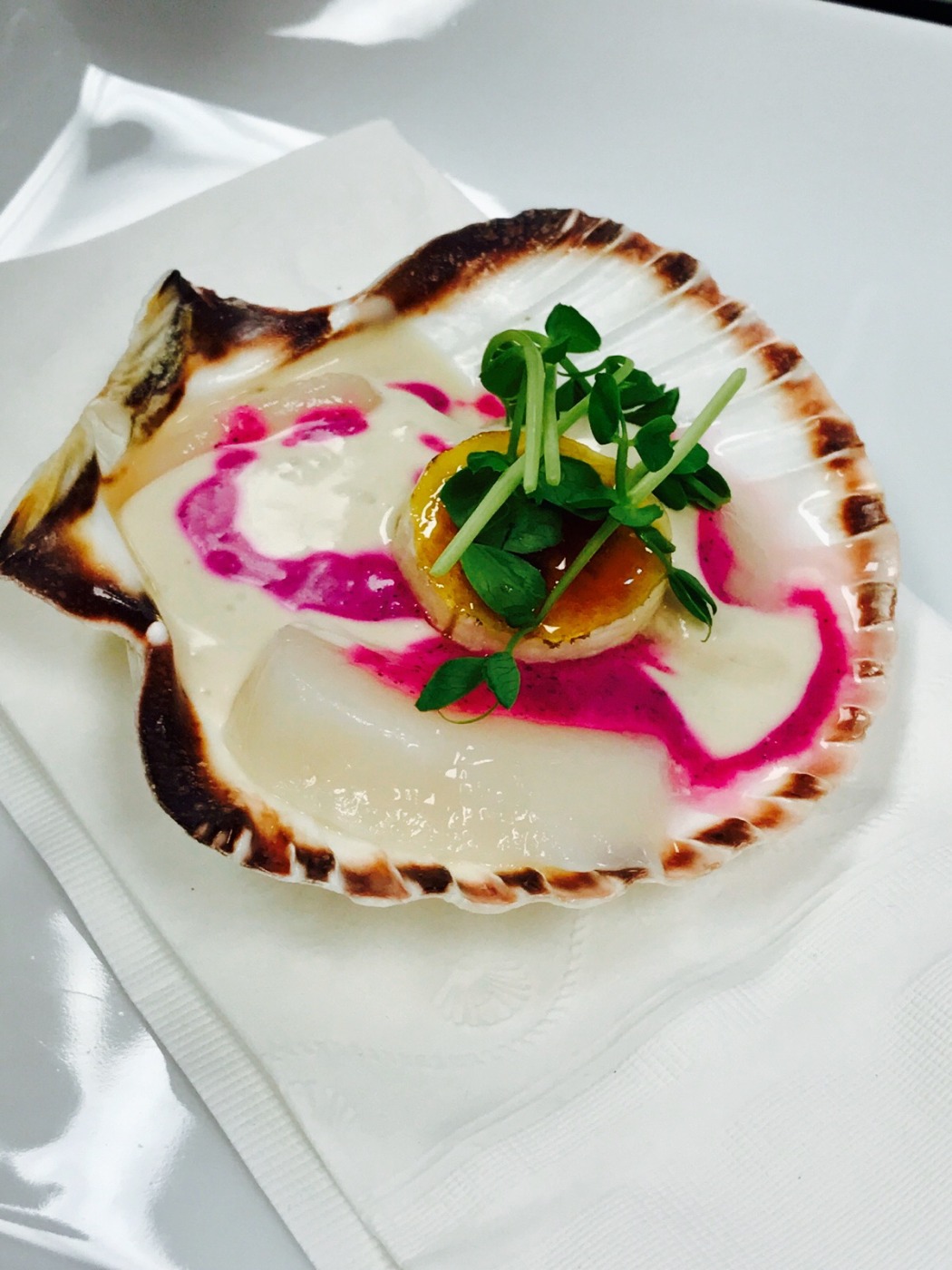 IMG_4680.jpeg IMG_4680.jpeg