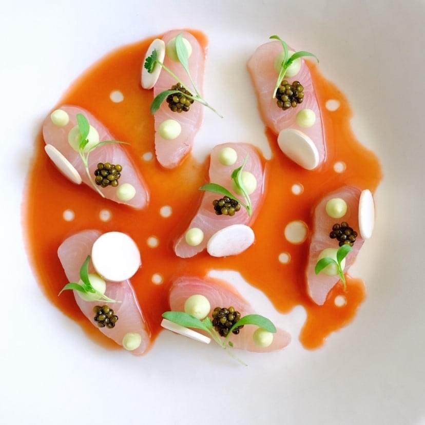 IMG_2304.jpeg IMG_2304.jpeg