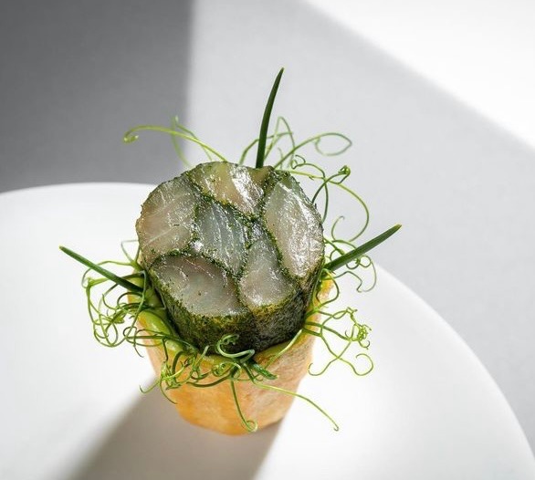 IMG_8099.jpeg IMG_8099.jpeg