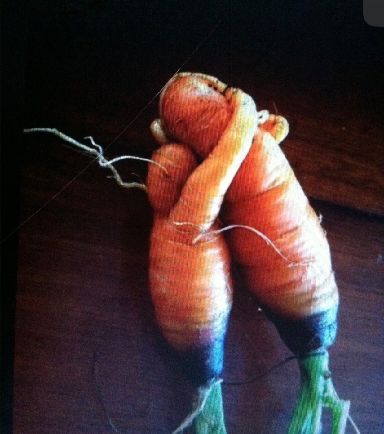 IMG_2790.jpeg IMG_2790.jpeg