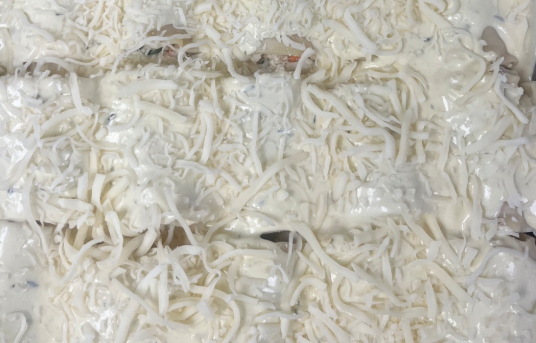 IMG_9122.jpeg IMG_9122.jpeg