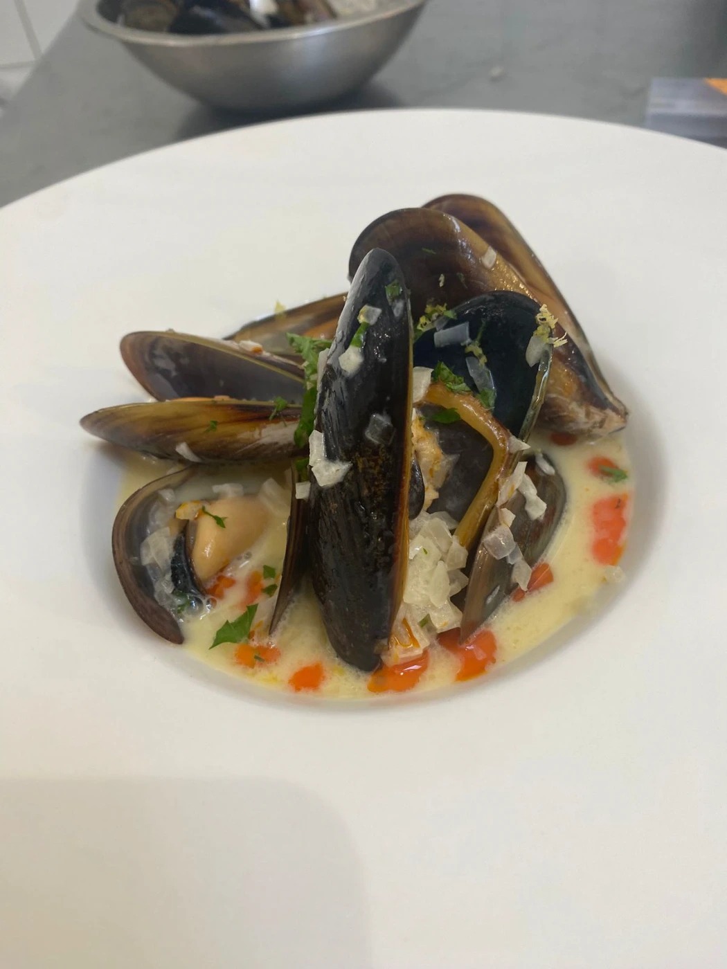 WhatsApp Image 2026-03-09 at 6.38.26 PM (2).jpeg