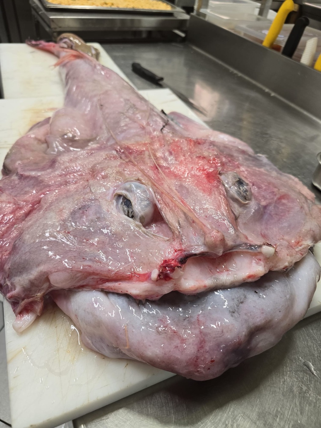 880fa2c9-03f7-4ddc-8890-0d11a2d1d913.jpeg 880fa2c9-03f7-4ddc-8890-0d11a2d1d913.jpeg