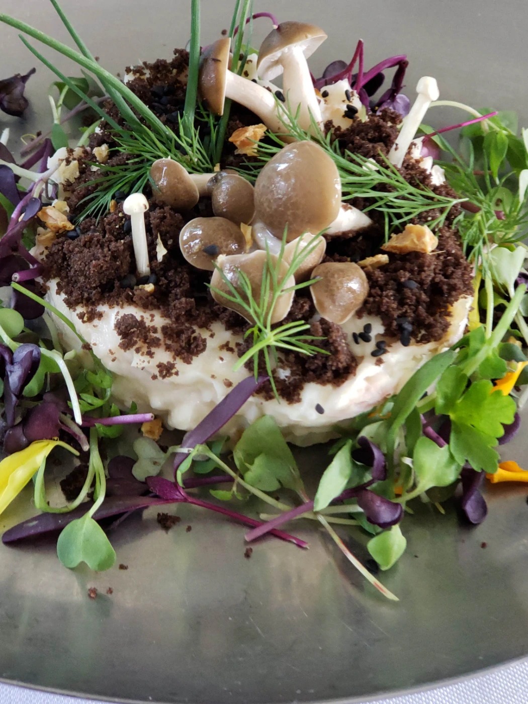 20180527_132317.jpg 20180527_132317.jpg