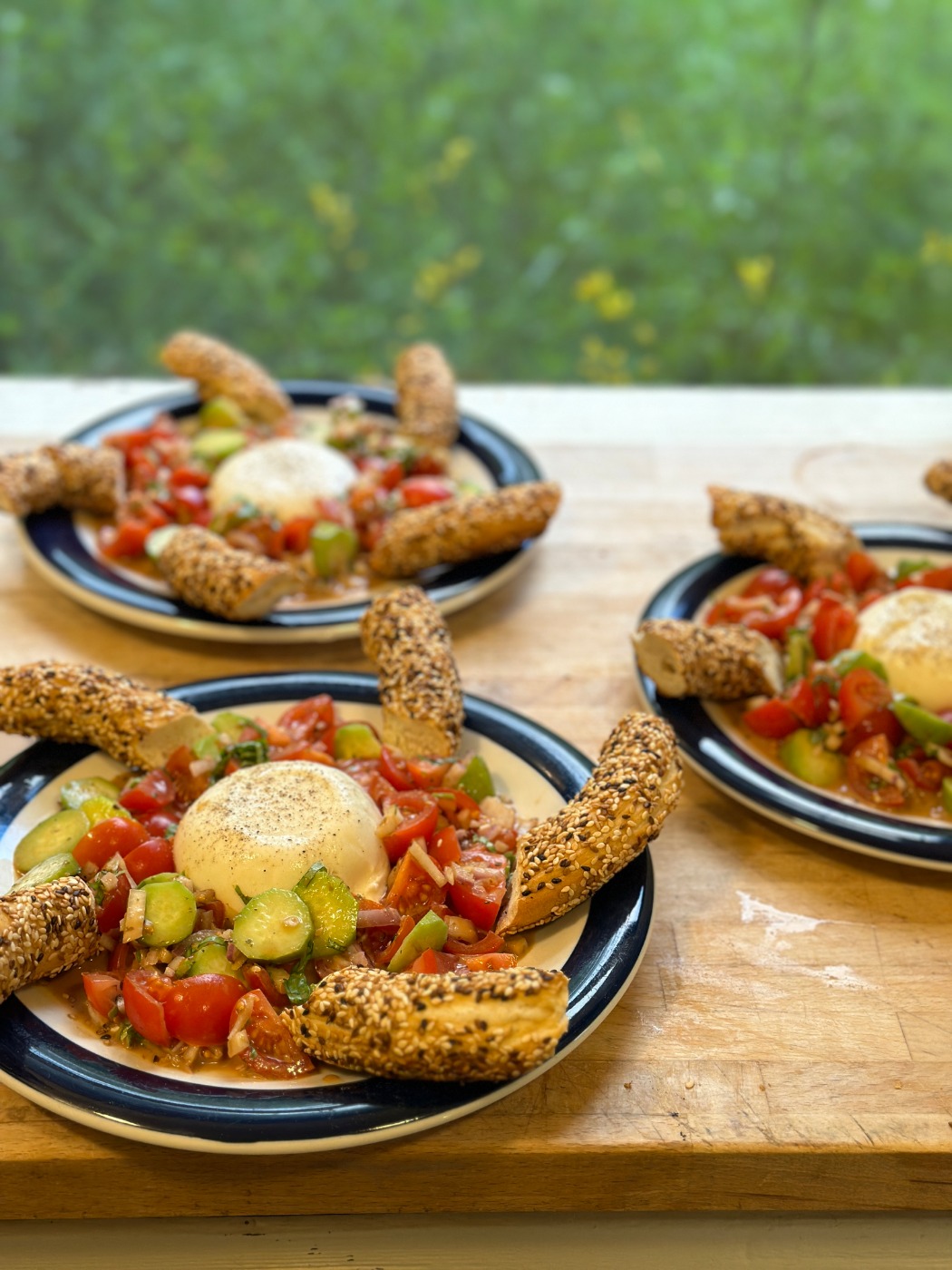 IMG_3495.jpeg IMG_3495.jpeg