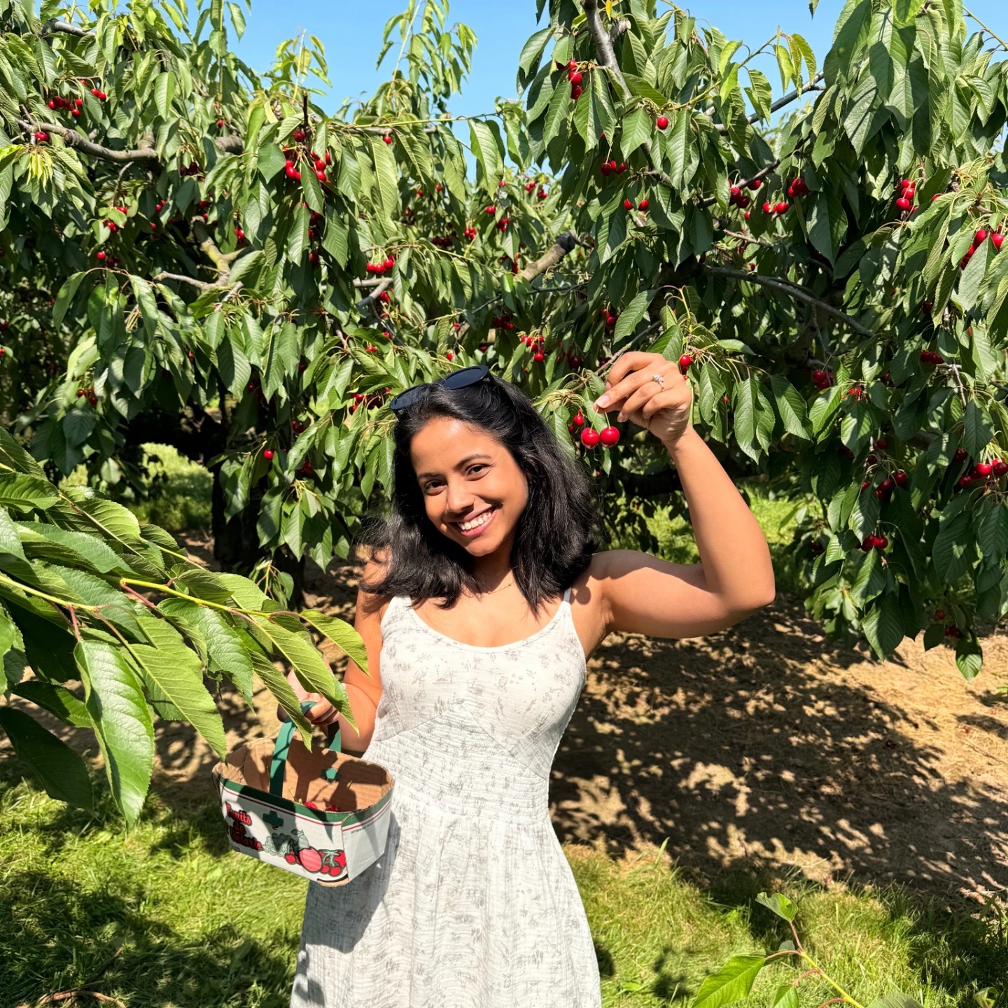 Photo of Ankita Singh