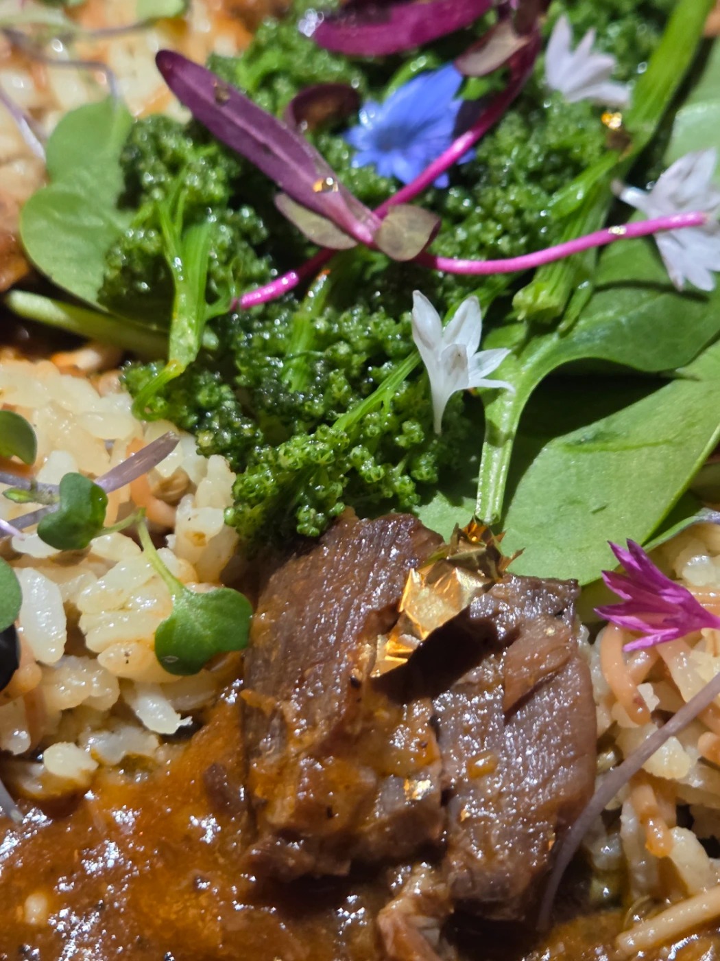 20260106_162957.jpg 20260106_162957.jpg