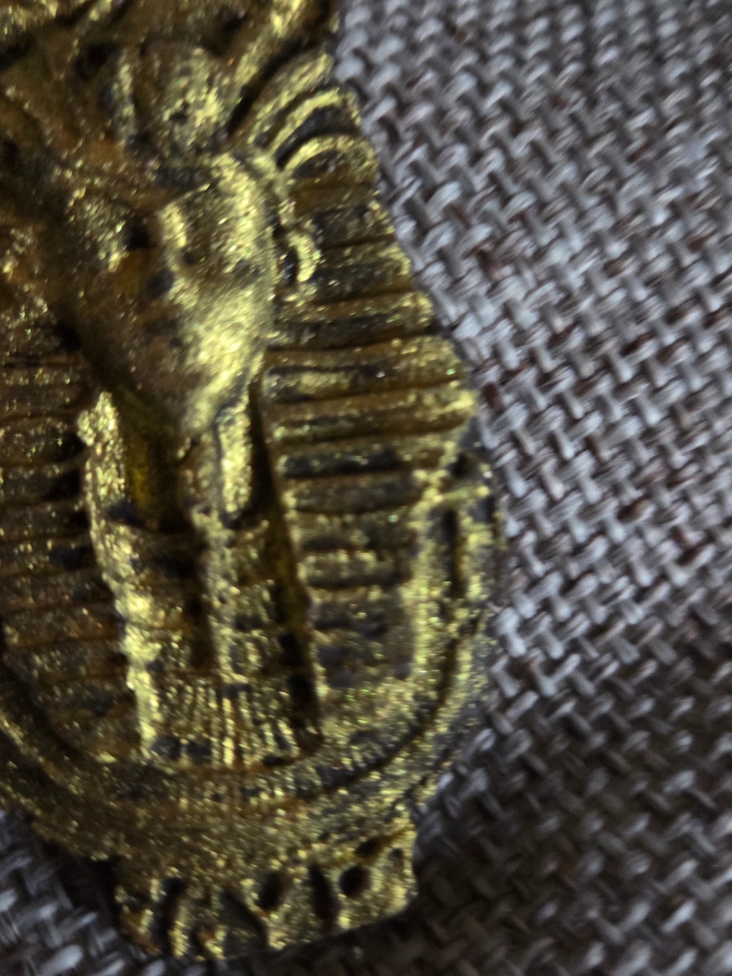 20260222_164756.jpg 20260222_164756.jpg